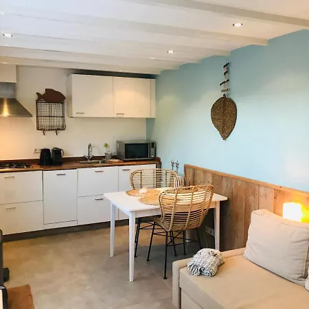 Apartment Beach House Le Grand Bleu Zandvoort