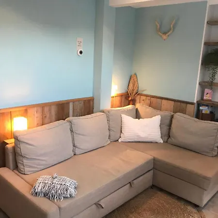 公寓 Beach House Le Grand Bleu 赞德沃特