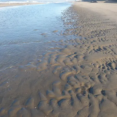 Beach House Le Grand Bleu