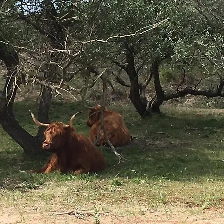 Appartamento Beach House Le Grand Bleu *